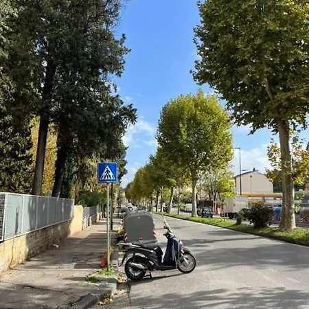 Relax San Frediano Con Giardino