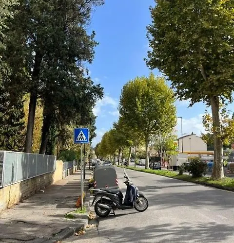 Relax San Frediano Con Giardino